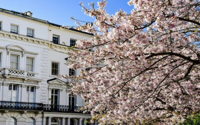 Why spring is the perfect time to buy or sell in the Midlands